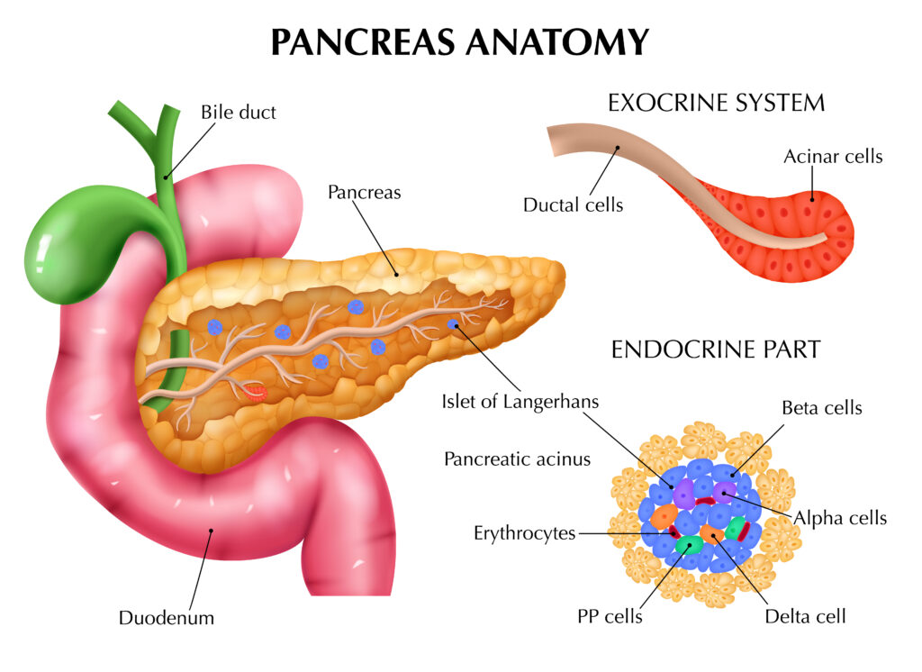 pancrease